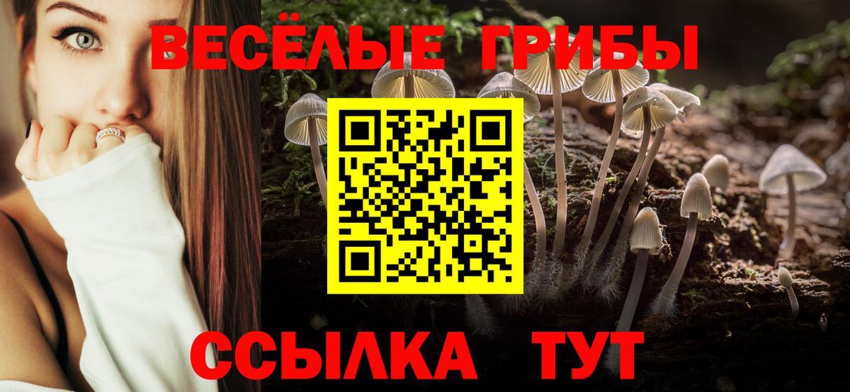 где продают наркотики  Вход с VPN  Псилоцибиновые грибы Psilocybe  Ессентуки  Галлюциногенные грибы Magic Shrooms 